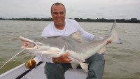 Em busca dos gigantes do rio Branco,RO